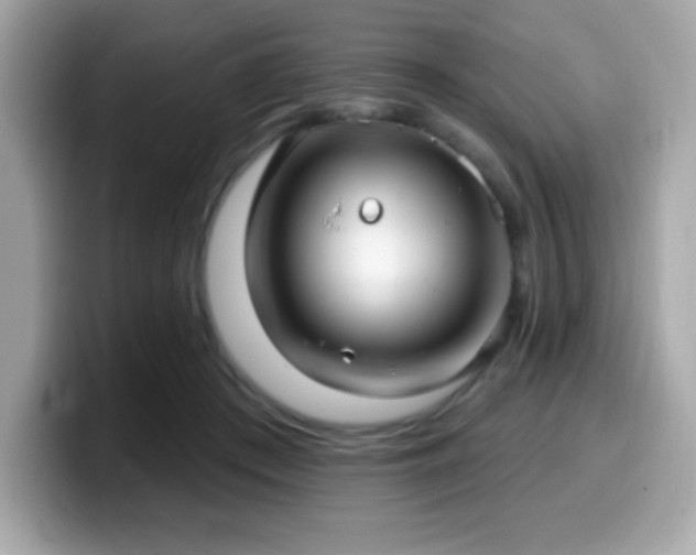 X0000099950409200805231325