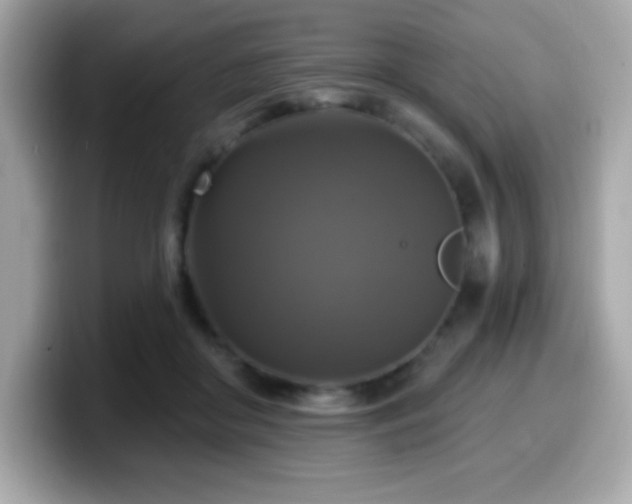 X0000099950410200805231325
