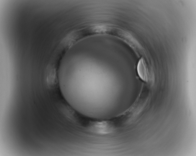 X0000099950411200805231325