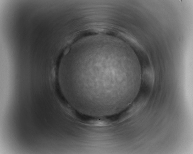X0000099950412200805231325