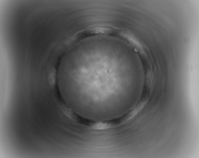 X0000099950413200805231325