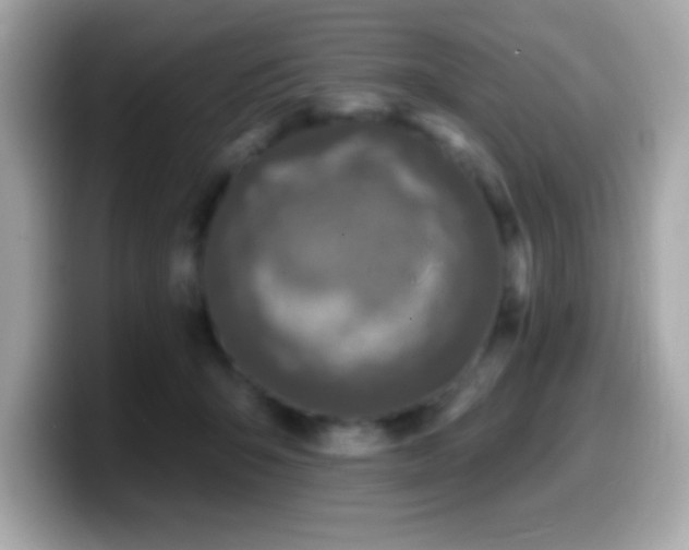 X0000099950415200805231325