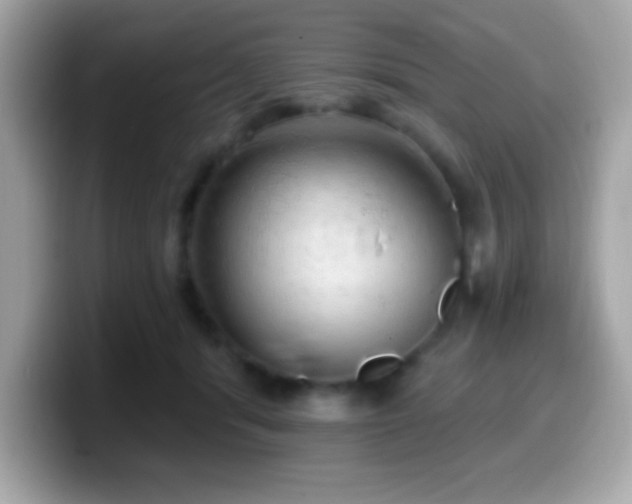 X0000099950416200805231325