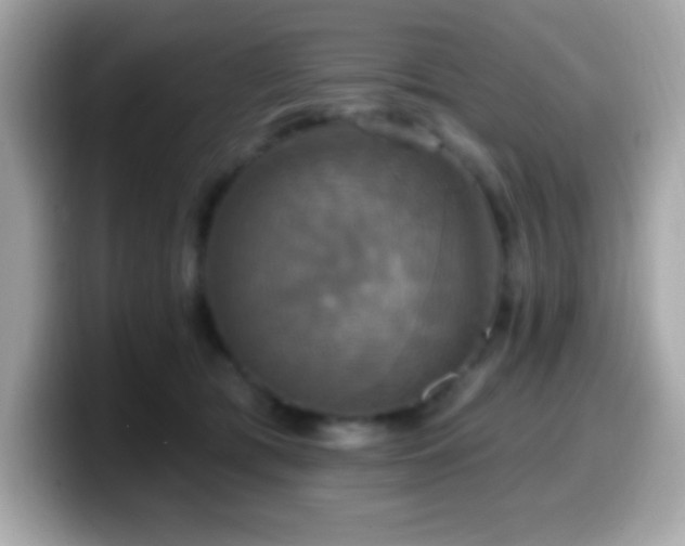 X0000099950417200805231325