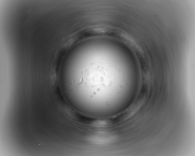 X0000099950418200805231325