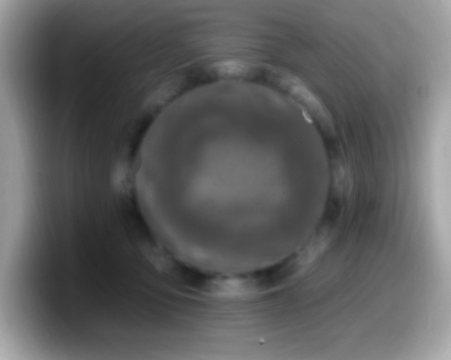 X0000099950419200805231325
