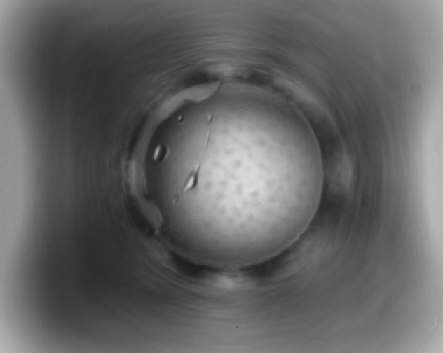 X0000099950420200805231325