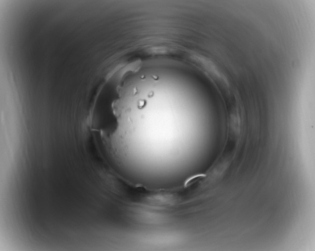 X0000099950422200805231325