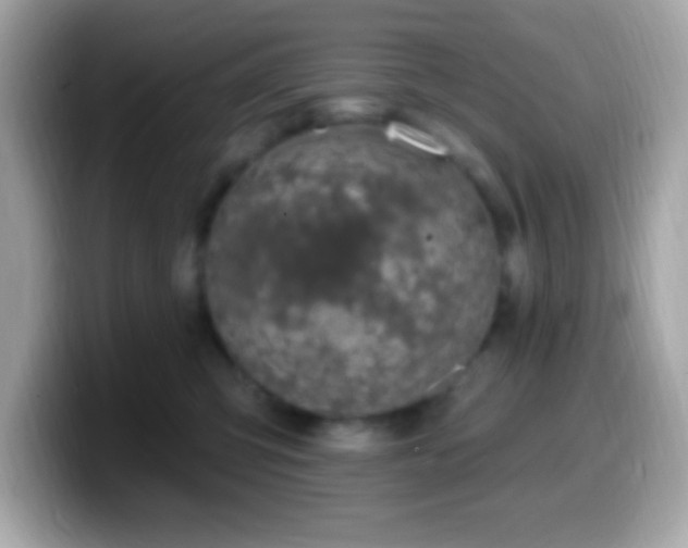 X0000099950423200805231325