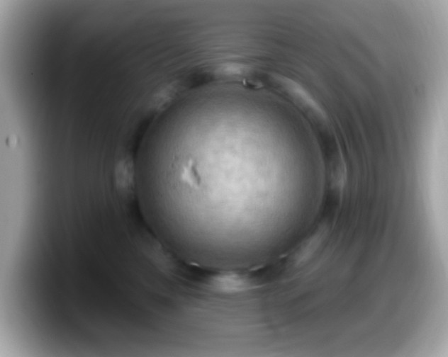 X0000099950425200805231325