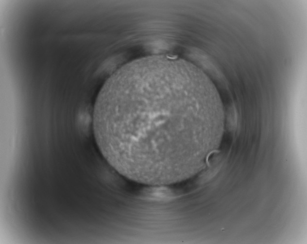 X0000099950427200805231325