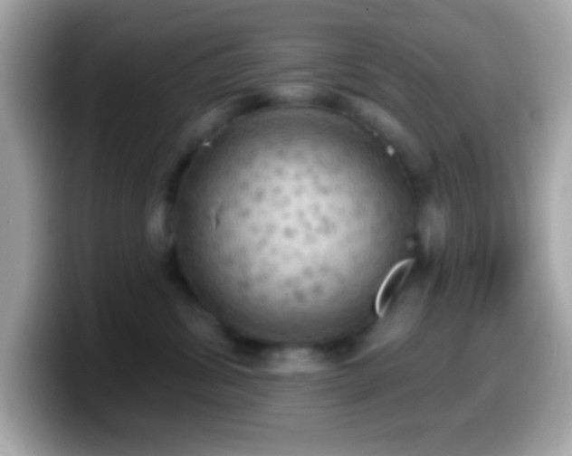 X0000099950428200805231325
