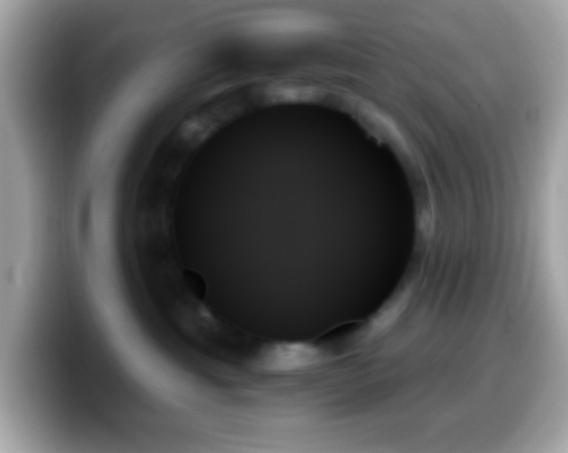 X0000099950429200805231325