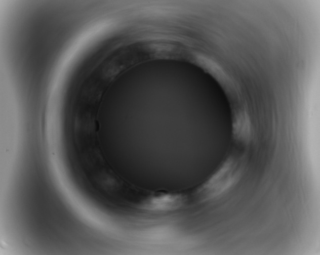 X0000099950430200805231325