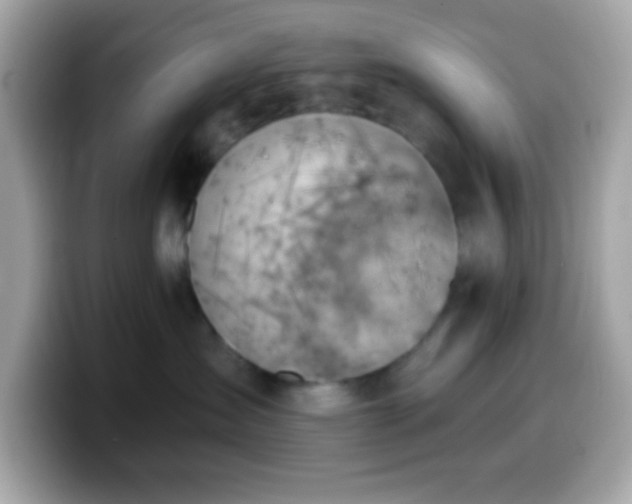X0000099950431200805231325