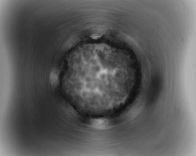 X0000099950432200805231325