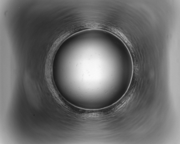 X0000099950433200805231324