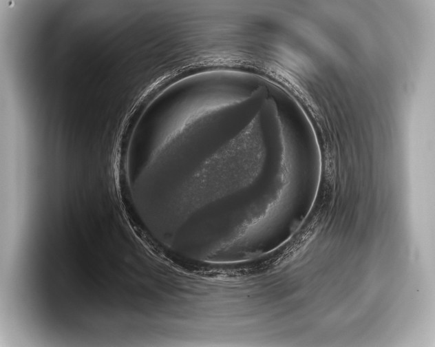 X0000099950434200805231324