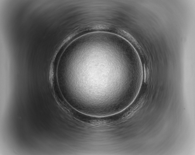 X0000099950435200805231325
