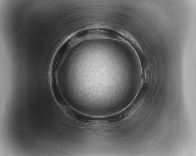 X0000099950436200805231325