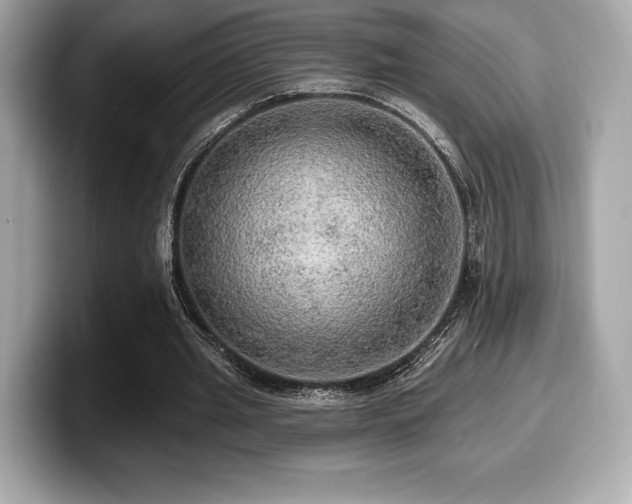 X0000099950437200805231325
