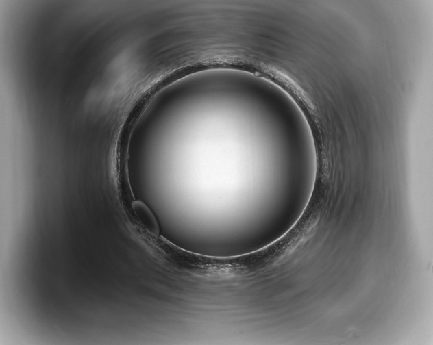 X0000099950439200805231325