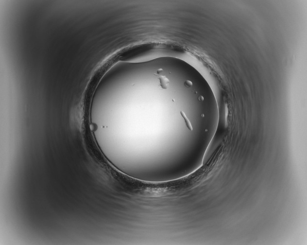 X0000099950440200805231325