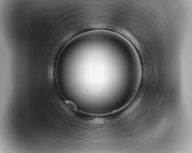 X0000099950441200805231325