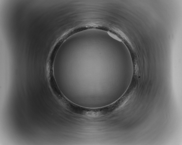 X0000099950444200805231325