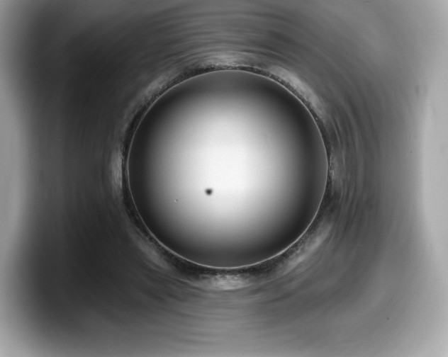 X0000099950445200805231325