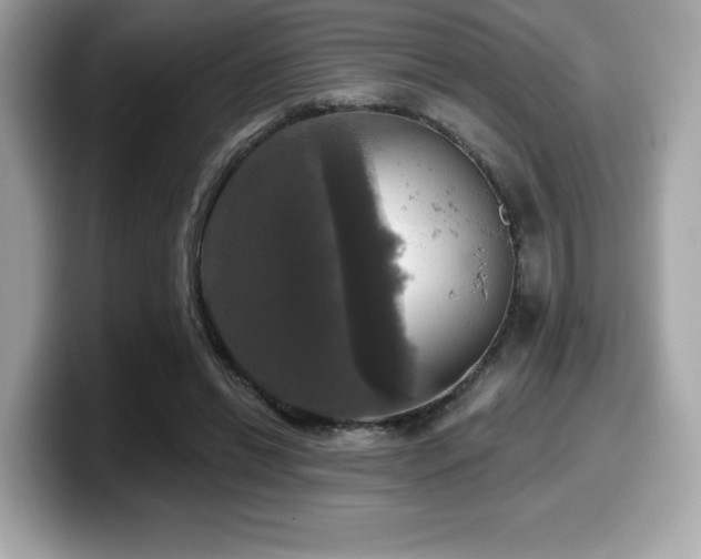 X0000099950446200805231325