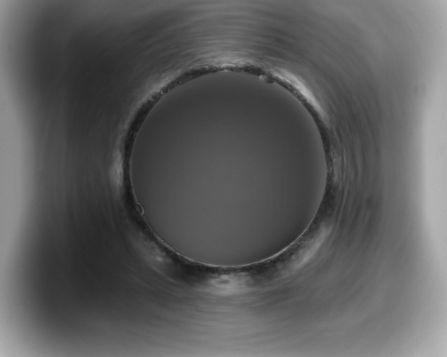 X0000099950447200805231325