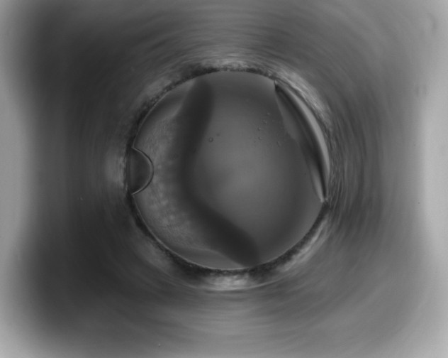 X0000099950449200805231325