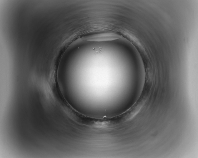 X0000099950450200805231325
