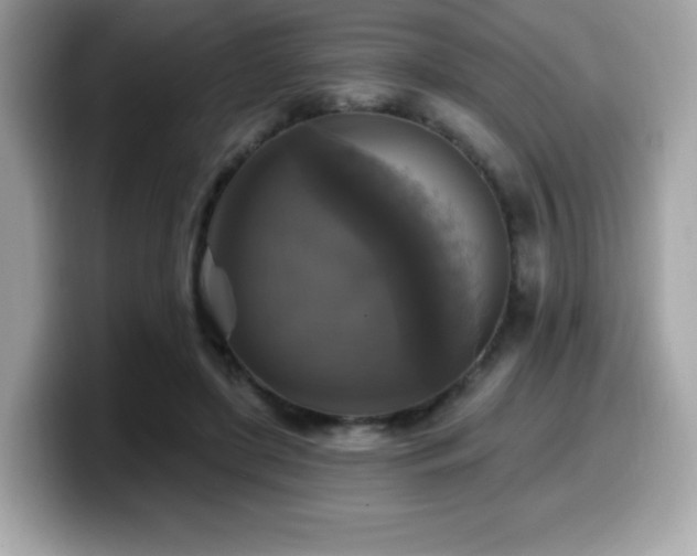 X0000099950451200805231325