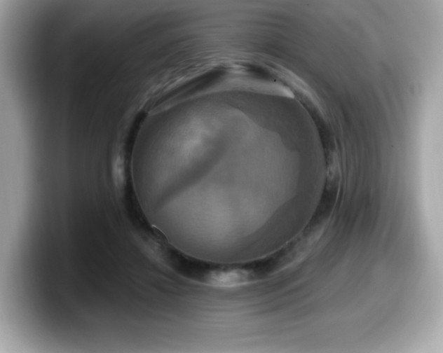 X0000099950452200805231325