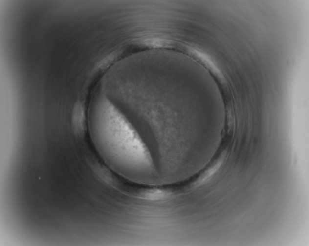 X0000099950453200805231325