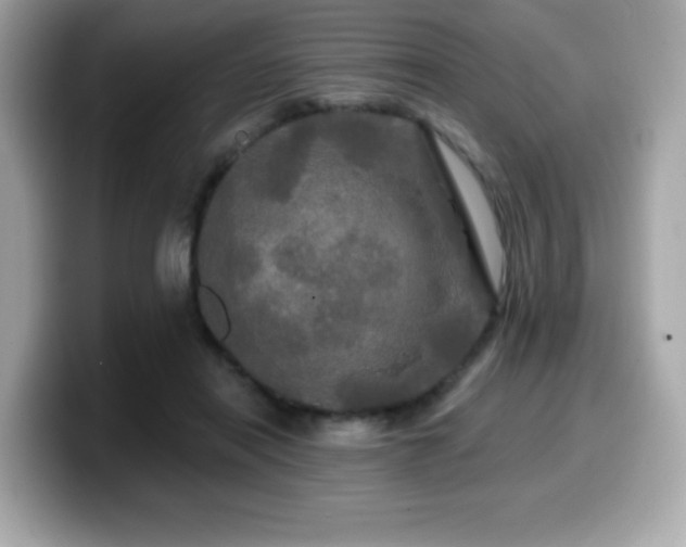 X0000099950454200805231325