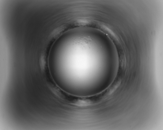 X0000099950455200805231325