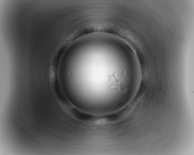 X0000099950456200805231325
