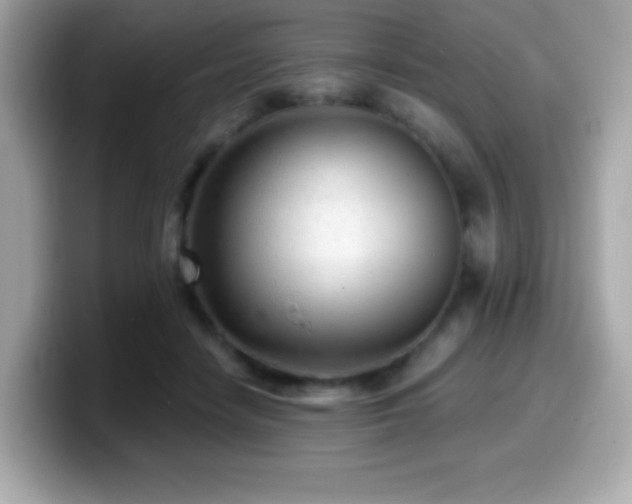 X0000099950458200805231325