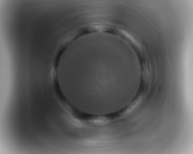 X0000099950459200805231325
