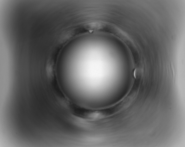 X0000099950460200805231325