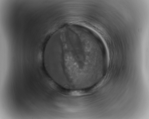 X0000099950461200805231325