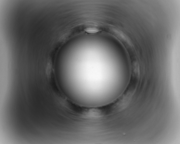 X0000099950463200805231325