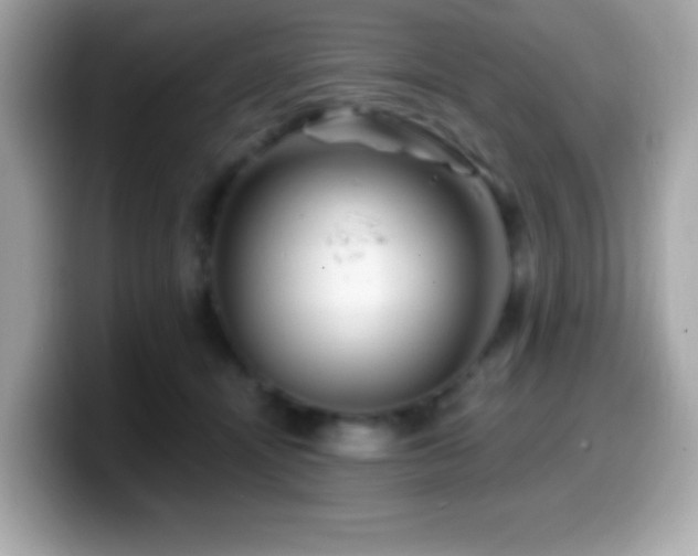 X0000099950464200805231325