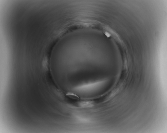 X0000099950465200805231325