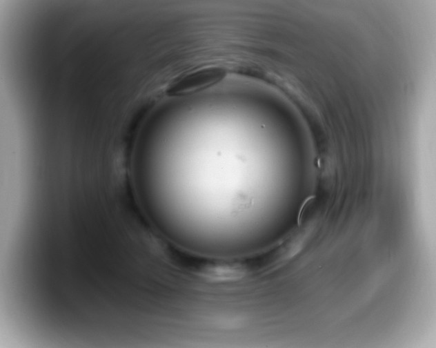 X0000099950466200805231325