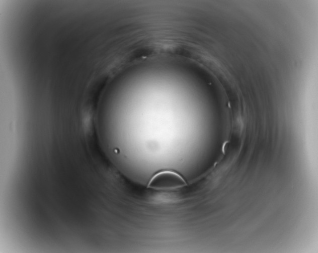 X0000099950468200805231325