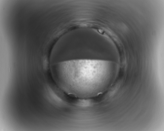 X0000099950469200805231325